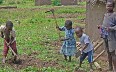 CHILDREN ARE BEING EXPLOITED TO WORK ON FARMS AND MINES IN UGANDA